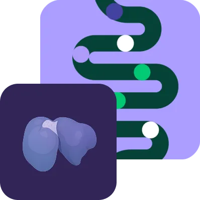 Purple and green graphic illustration of animal intestine with organ representing gut health and digestion