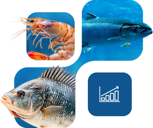 Shrimp, salmon and tilapia with performance icon, Nuproxa solutions for aquaculture and aquatic animal health.