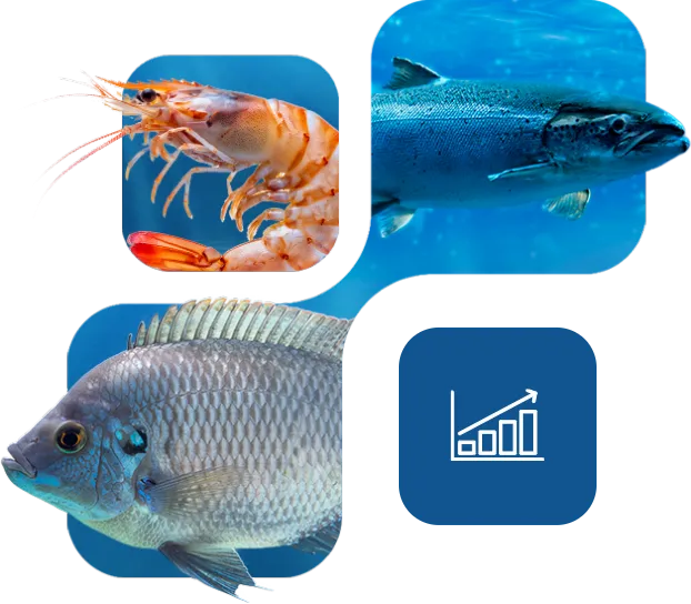 Shrimp, salmon, tilapia and growth icon highlighting Nuproxa iNuxA-VC for aquaculture performance in fish.