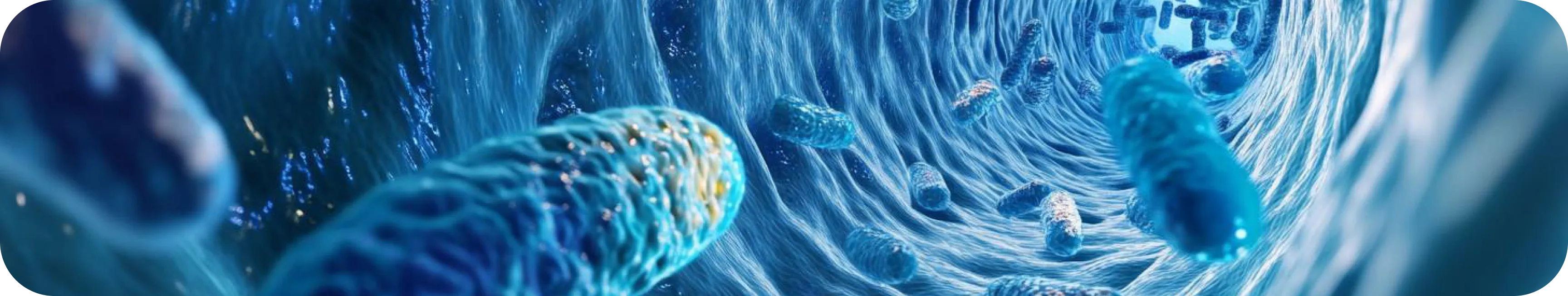 Research & Development - Nuproxa