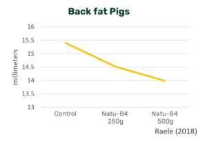 Blog inline image