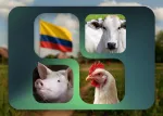 Miniatura NatuB4 Colombia Nuproxa con bandera ganado nelore cerdo y gallina agropecuaria colombiana LATAM