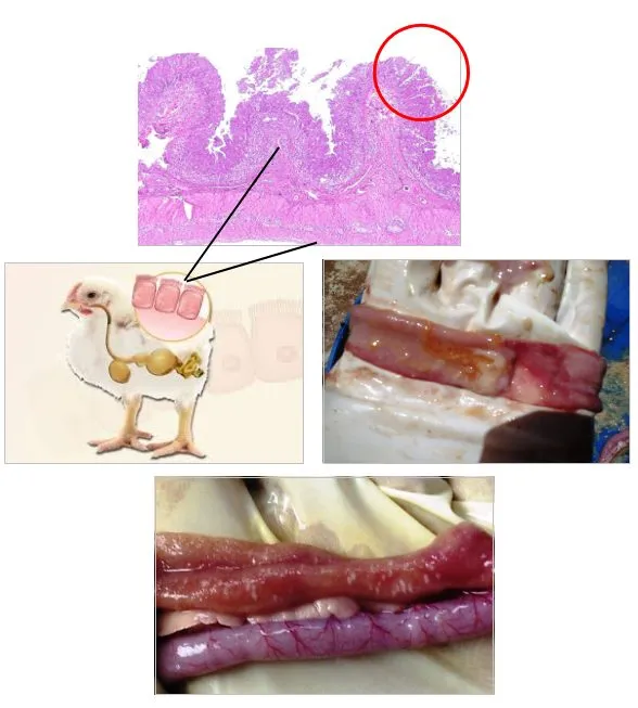 Blog inline image