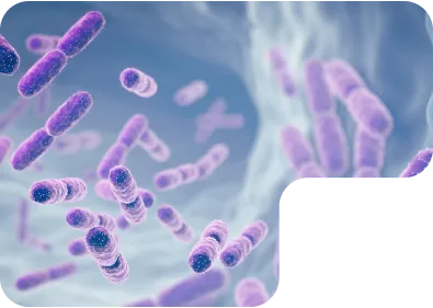 Lactobacillus probiotics and gut microbiota for Nuproxa GHP animal gut health program today