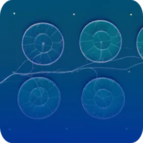 Microalgae in aquaculture culture for Nuproxa aquaculture nutrition and fish health solutions