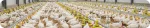 Large-scale commercial poultry house with feeders, Nuproxa broiler production nutrition